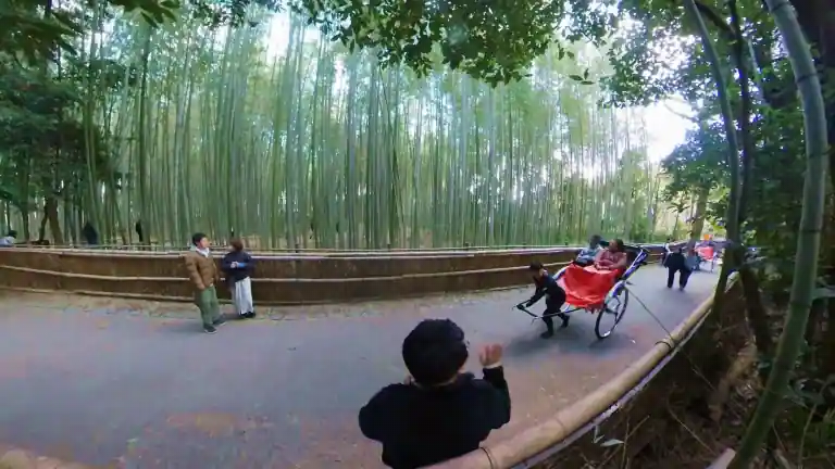 아라시야마 치쿠린 인력거