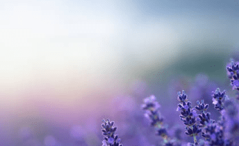 해돋이 명소 추천 11군대