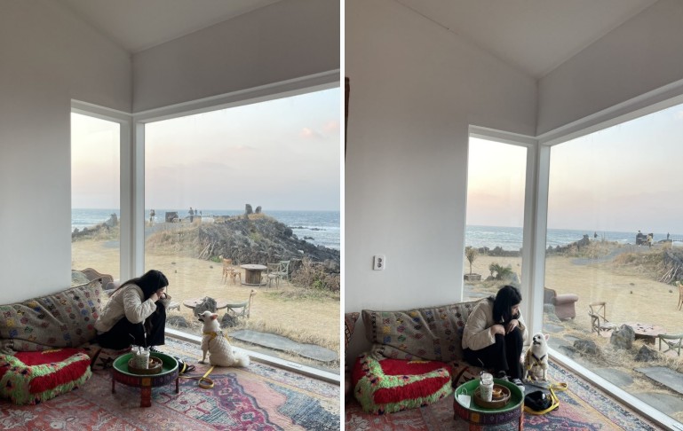 혼자 반려견 여행