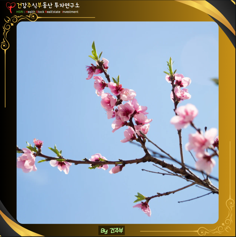 우리의 속사람은 날마다 새로와 집니다.
(글 그림 : 건주부, 그림 출처 : Canva)
