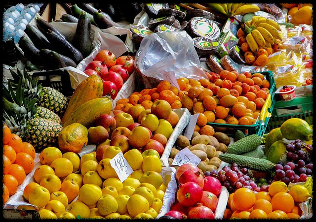 민생회복지원금 사용처