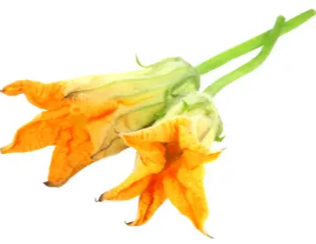 가을 제철 음식 늙은 호박 효능 및 영양성분