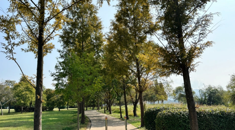 남양주 물의정원