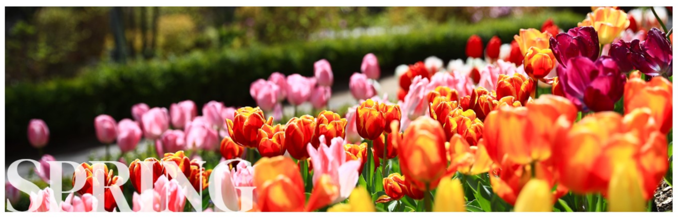 아침고요수목원 봄 알림사진