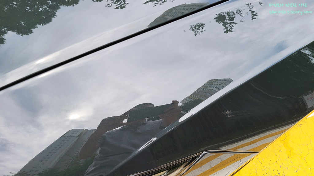 블루핸즈-스월마크