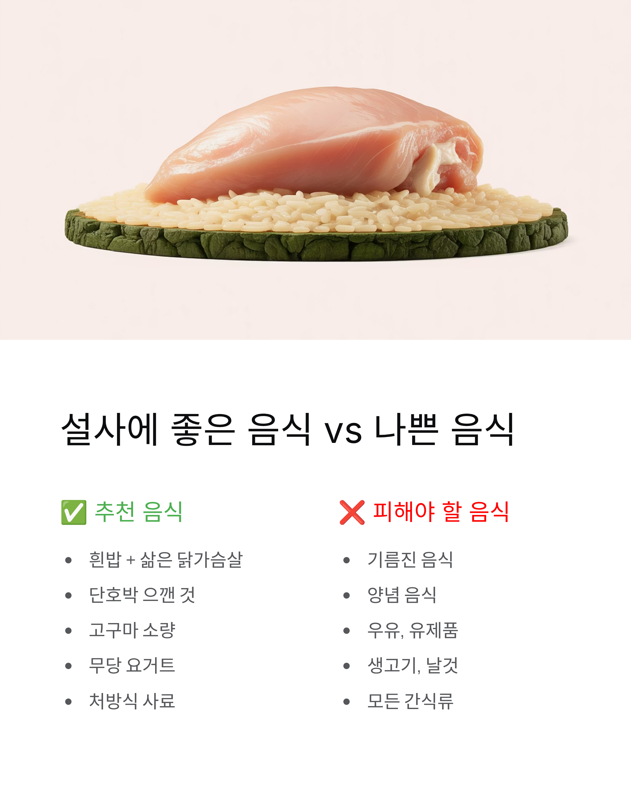 강아지 설사 🐕 원인·증상·대처법 총정리! 언제 병원 가야 할까?