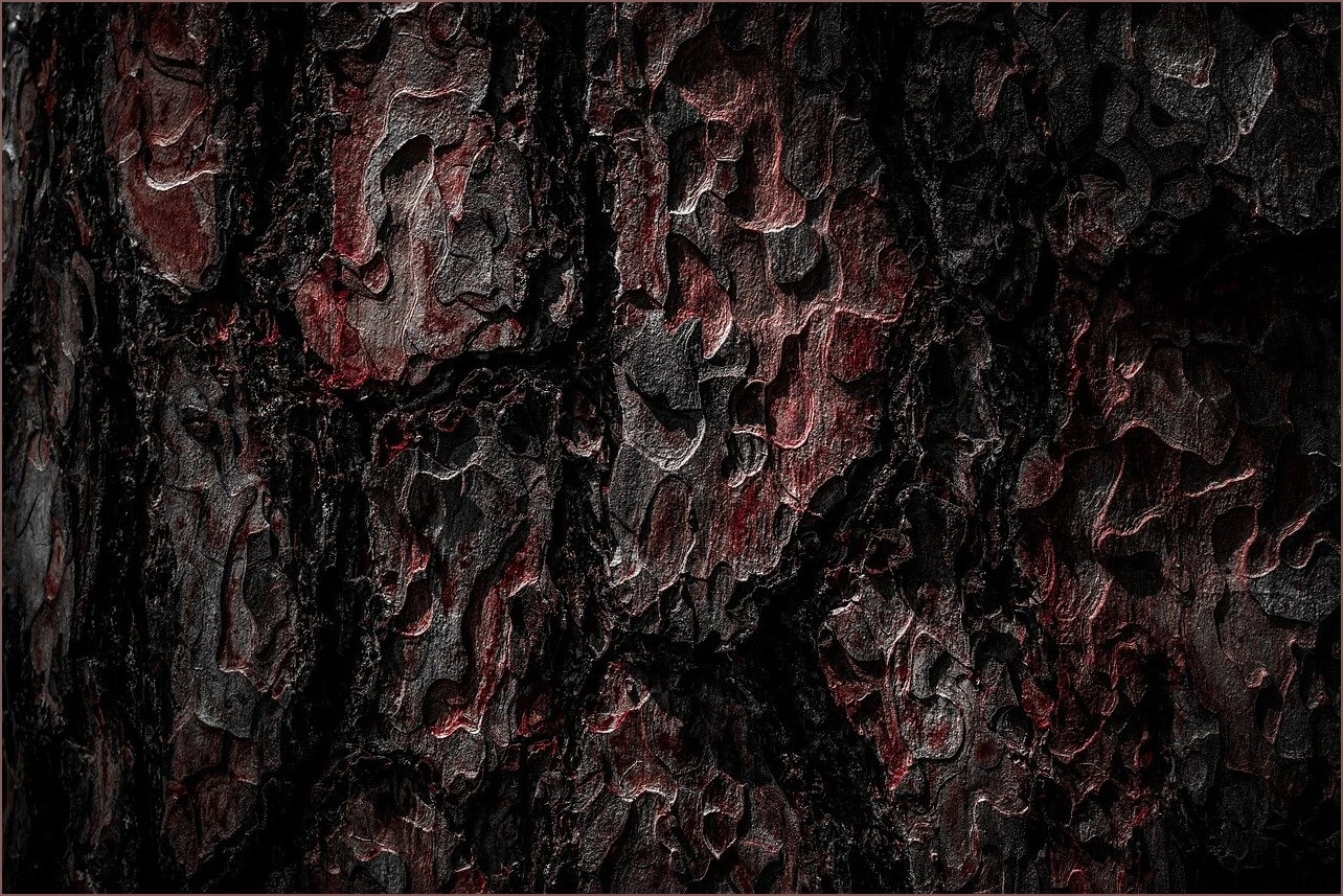 무인민원발급기 위치