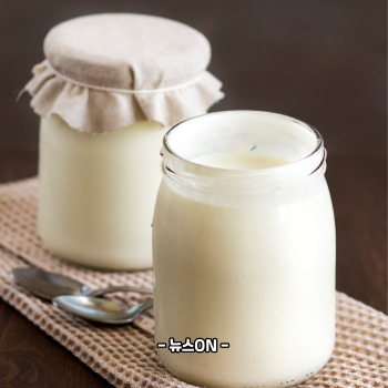 비타민b12가 많은 음식