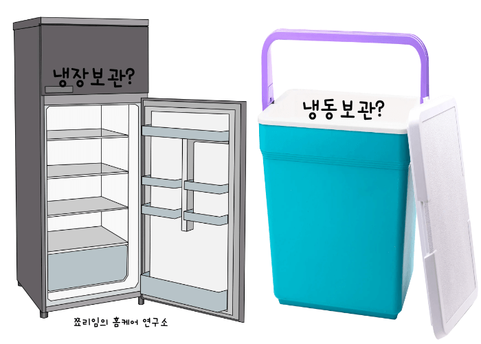 대파 냉장보관과 냉동보관