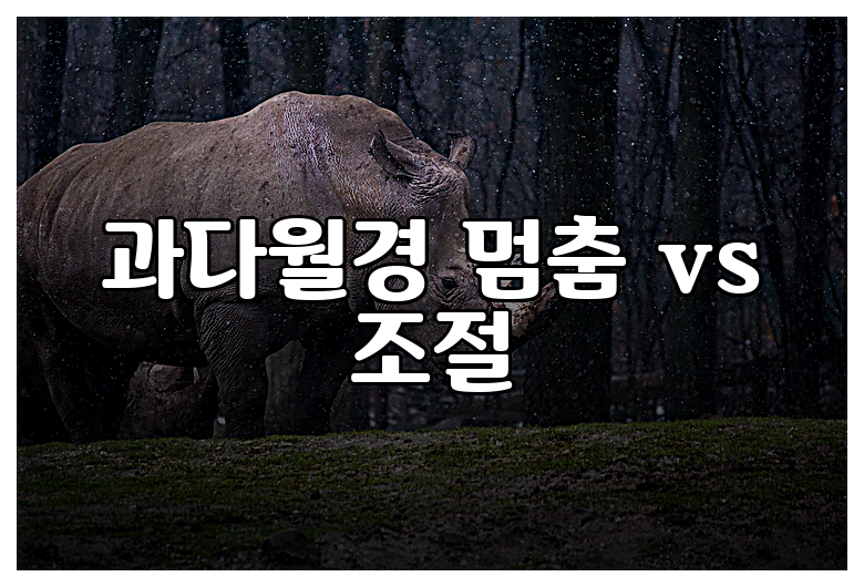 과다월경 멈춤 vs 조절
