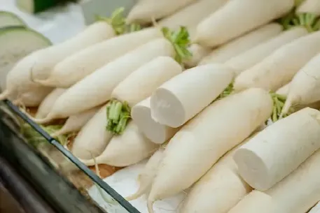 김장무 심는 간격