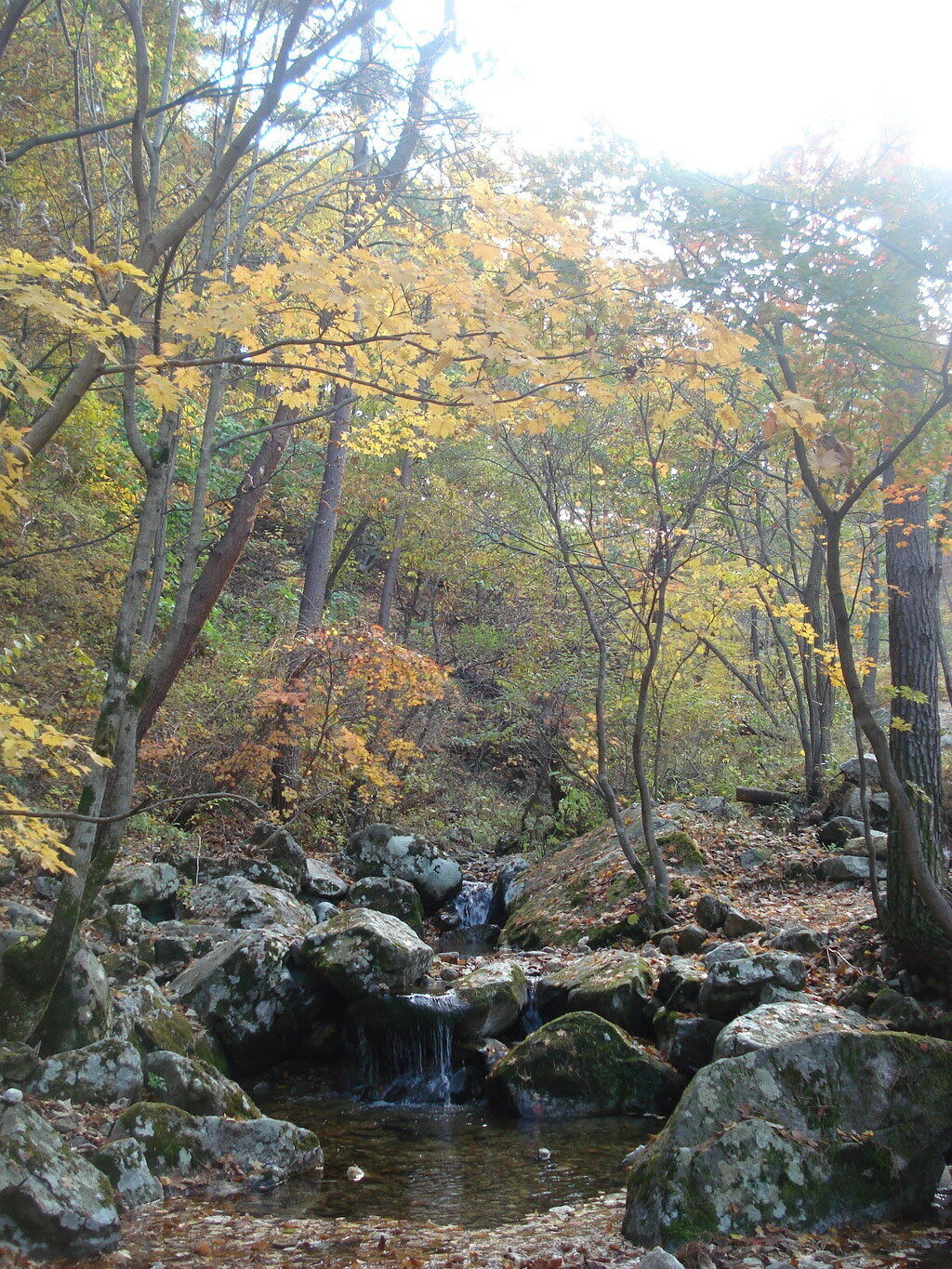 검봉산 자연휴양림