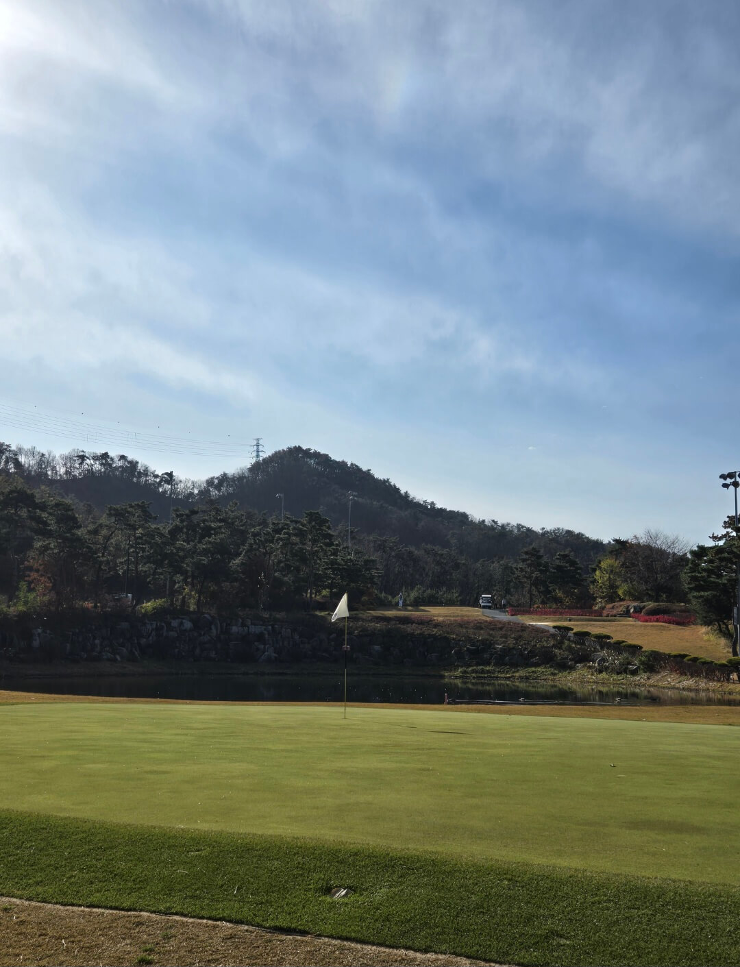 초록한 그린위 깃발