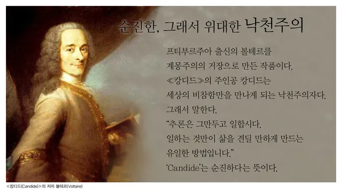 볼테르 캉디드 풍자 소설의 사회 비판과 철학적 메시지_2