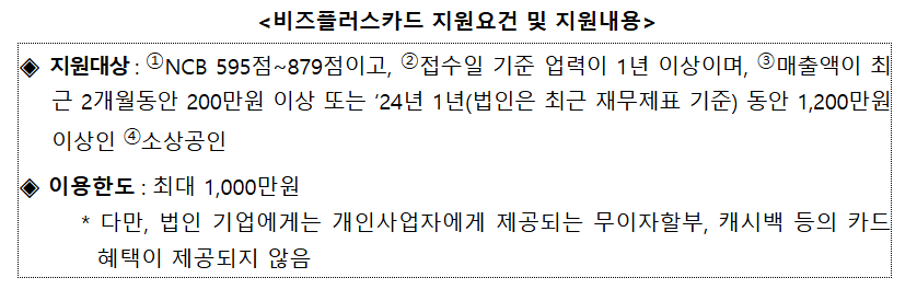 비즈플러스 카드 신청 자격 및 병원 사용처 법인 한도