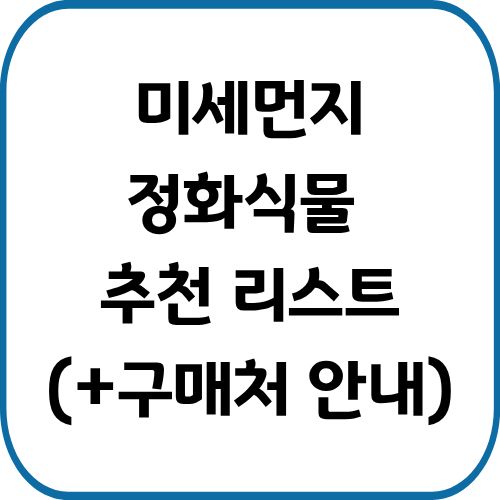 미세먼지 전화식물 추천 리스트와 구매처 안내