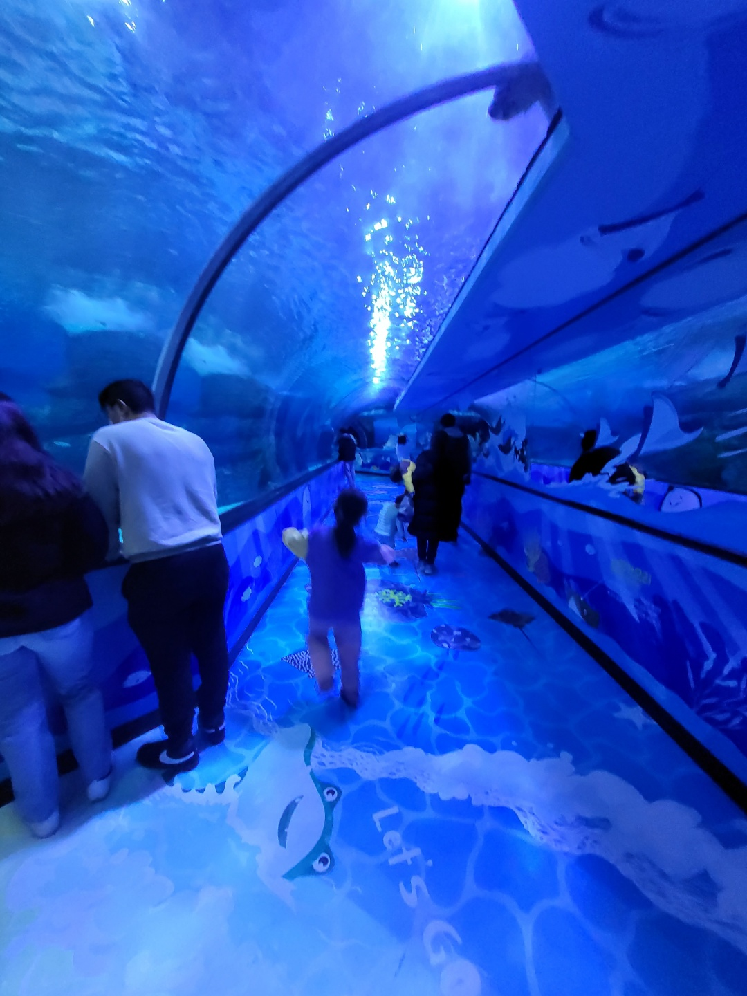 부산 아쿠아리움