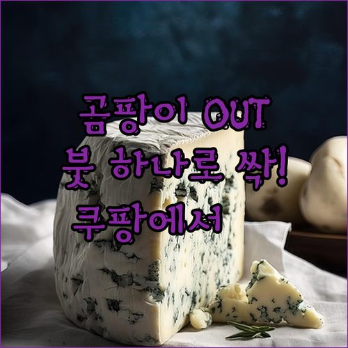 ✨ 붓 하나로 곰팡이 OUT! 백화상