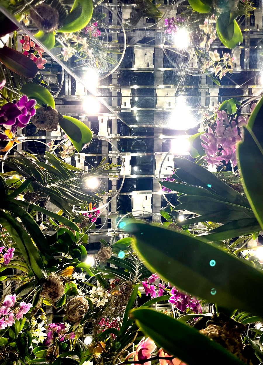 팀랩플래닛 관람 꽃과 나와 하나의 뿌리, 정원은 나와 하나의 몸