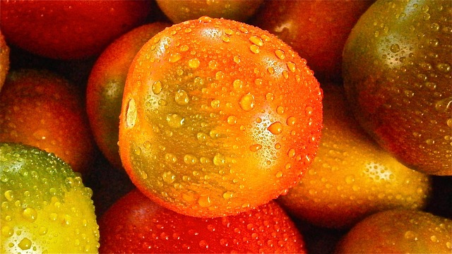 토마토 보관방법 꿀팁 1