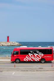 강릉시티투어버스