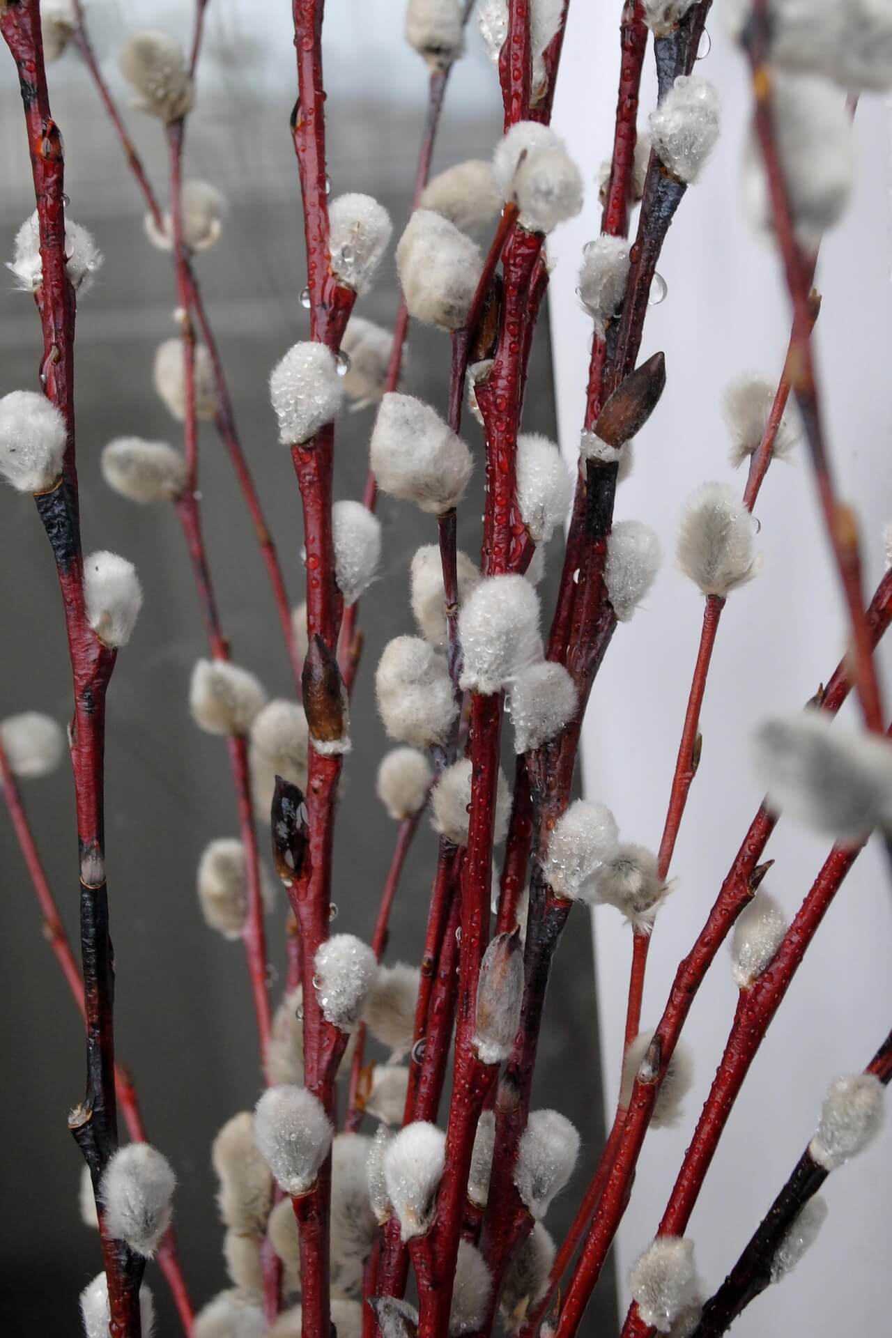 잊혀진 전통놀이, 길쌈과 베짜기