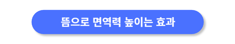 버튼