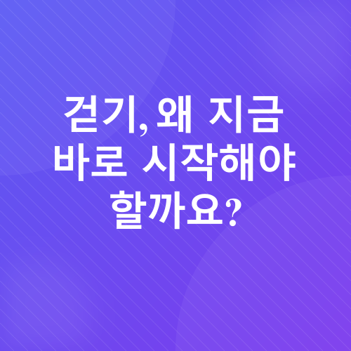 중년 걷기 운동_2