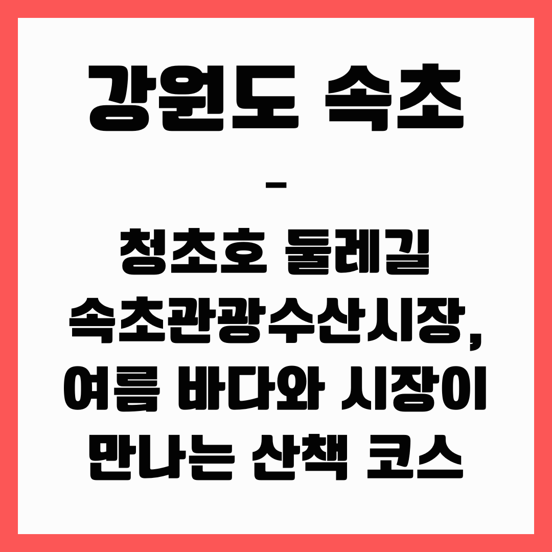 강원도 여행 - 속초(여름 바다와 시장이 만나는 산책 코스)