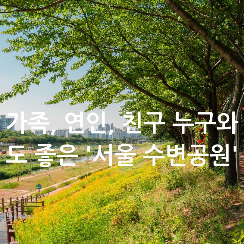 서울형 수변감성도시