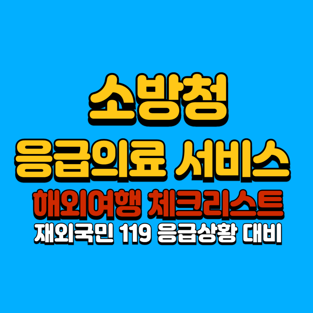 소방청 응급의료 서비스 해외여행 체크리스트 재외국민 119 응급상황 대비