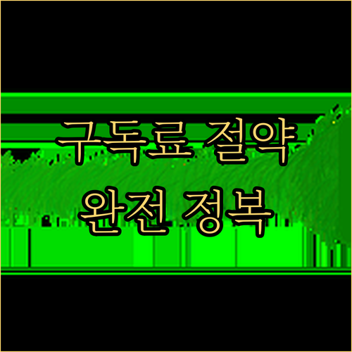 유튜브 프리미엄 구독료 아끼는 방법