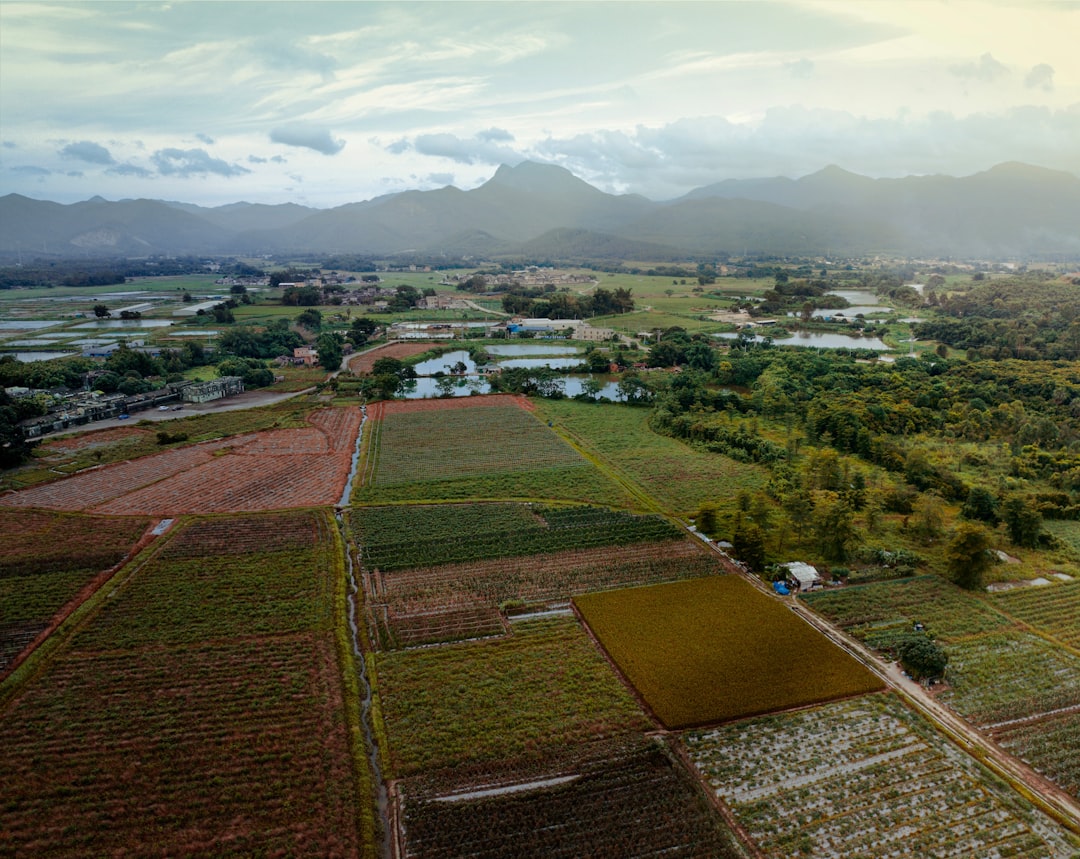 Agricultural management