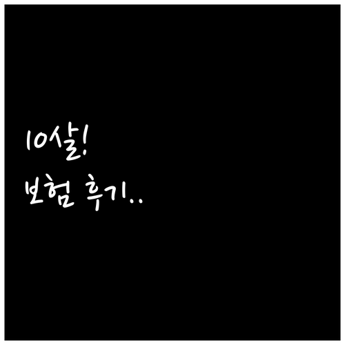 10살 포메라니안 노령견 보험 후기..