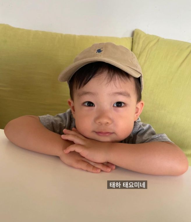 태요미네 태하