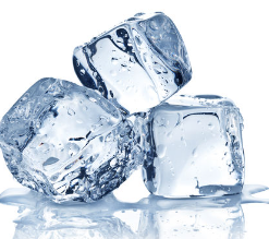 개에게 얼음을 줘도 괜찮을까?