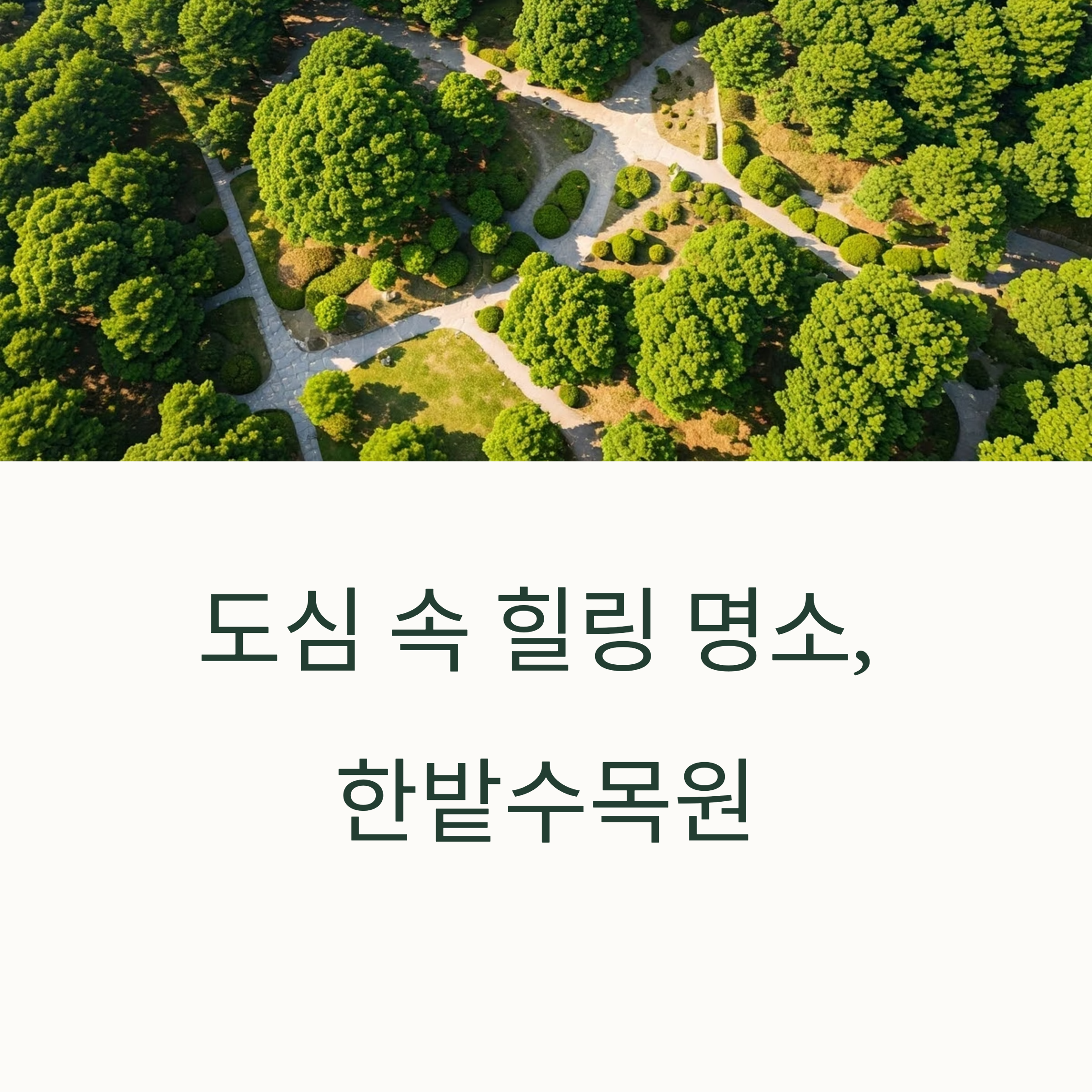 도심 속 힐링 명소, 한밭수목원 산책의 모든 것
