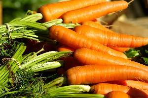 cca주스 효능 및 만드는법