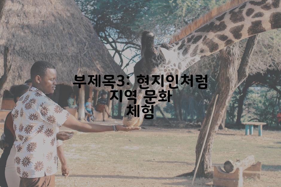 부제목3: 현지인처럼 지역 문화 체험