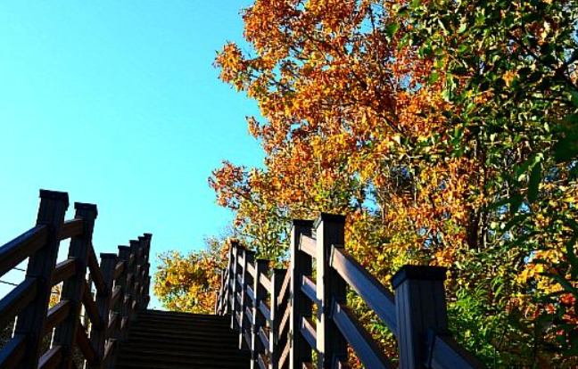 2025 월악산 단풍 절정 시기! 가을 명소 &amp; 등산 코스 완벽 정리