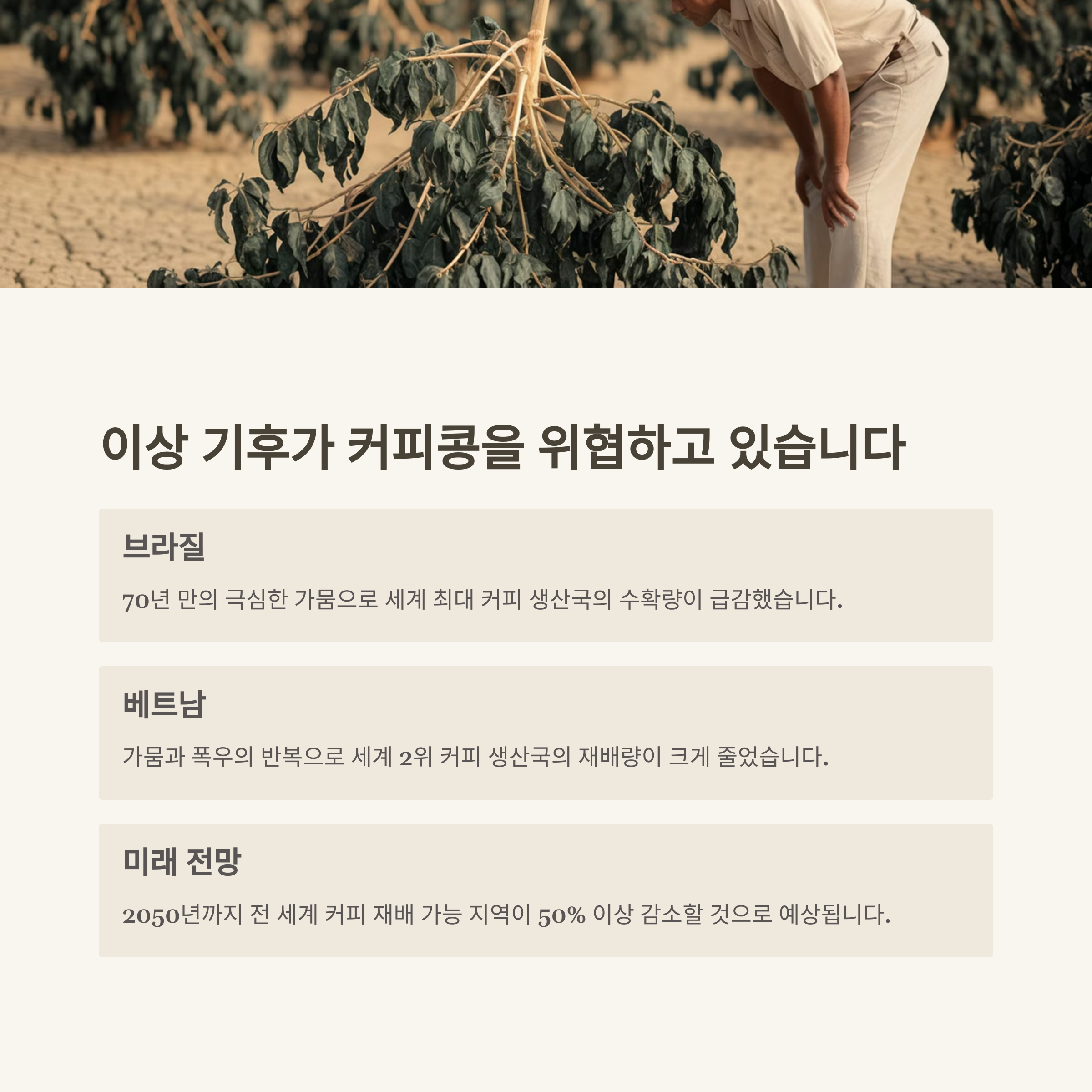 커피플레이션의 시대! 커피 가격은 언제까지 오를까?