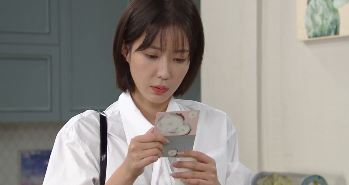 미녀와 순정남 몇부작