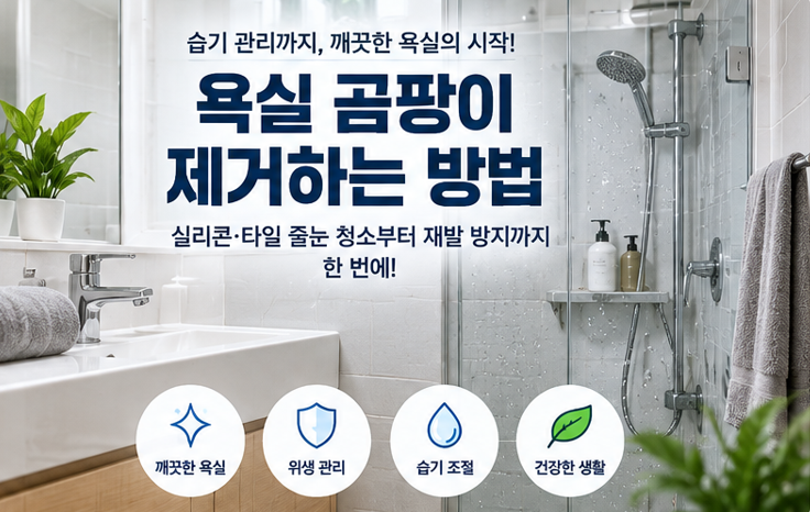 욕실 곰팡이 제거하는 방법|실리콘·타일 줄눈 검은곰팡이 청소법