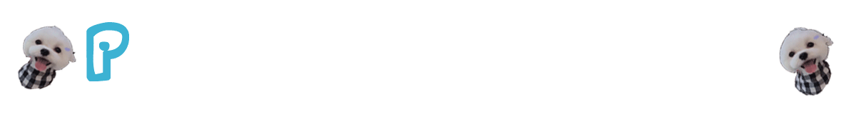 티스토리 타이틀