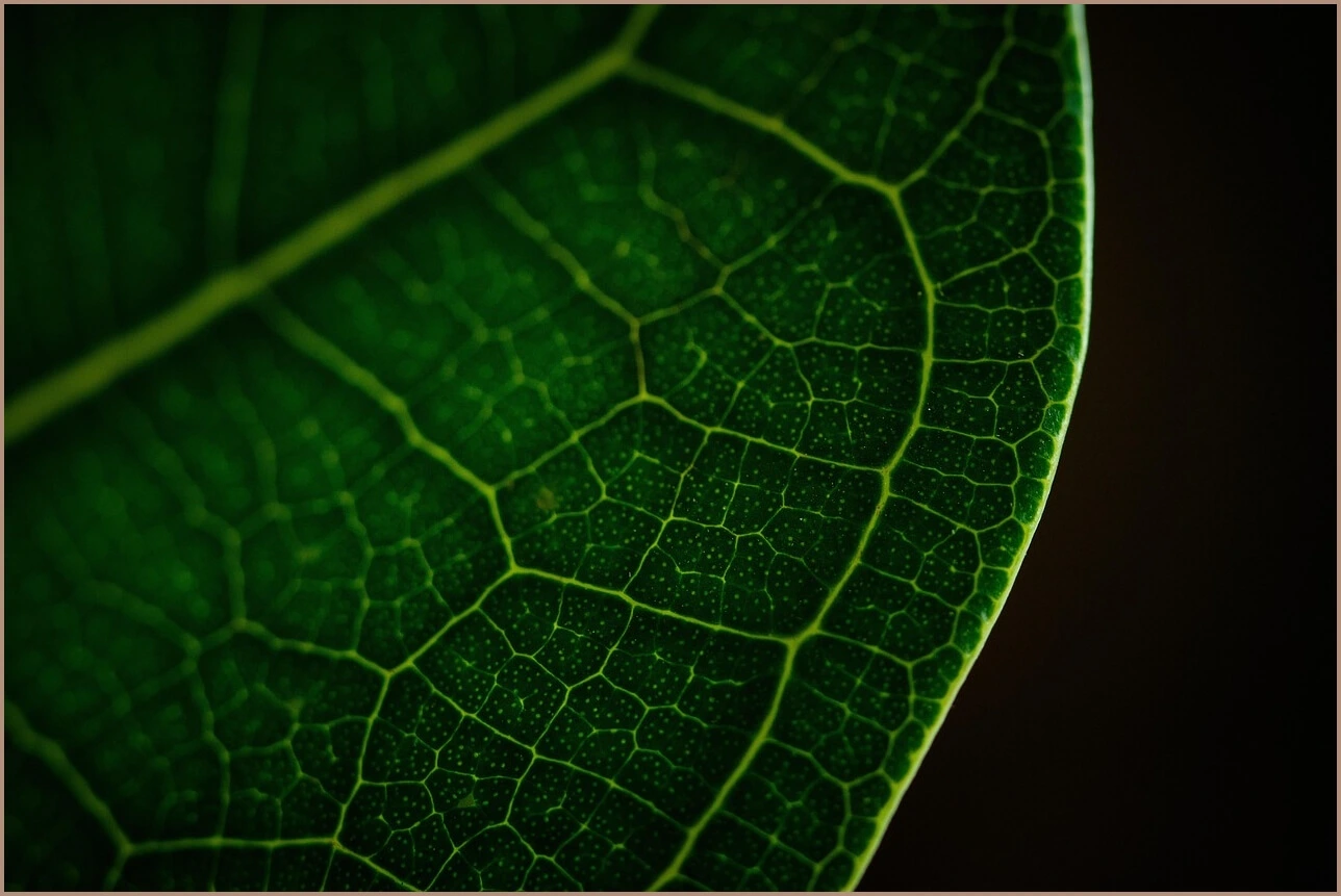 국민은행 정기예금 금리