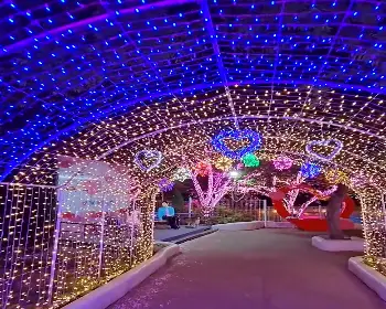 청도 프로방스 빛축제_14