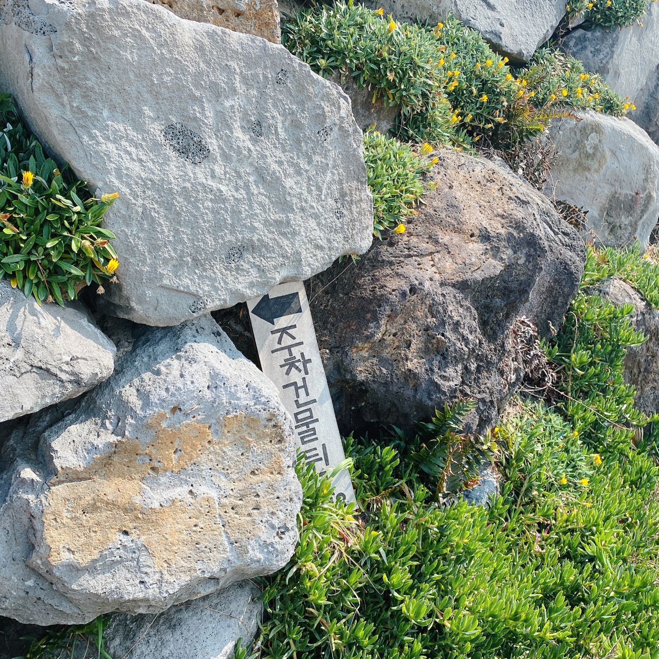 제주 곽지해수욕장 멜팟카페