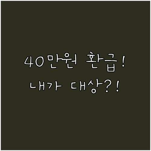 2025년 전세보증금 보증료 40만원..