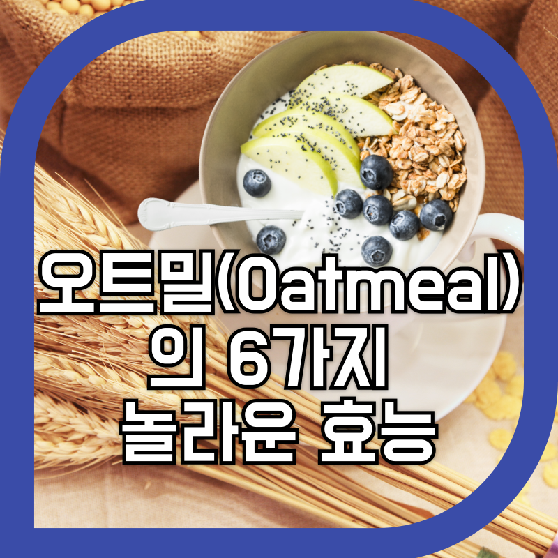 오트밀로 만든 음식 이미지
