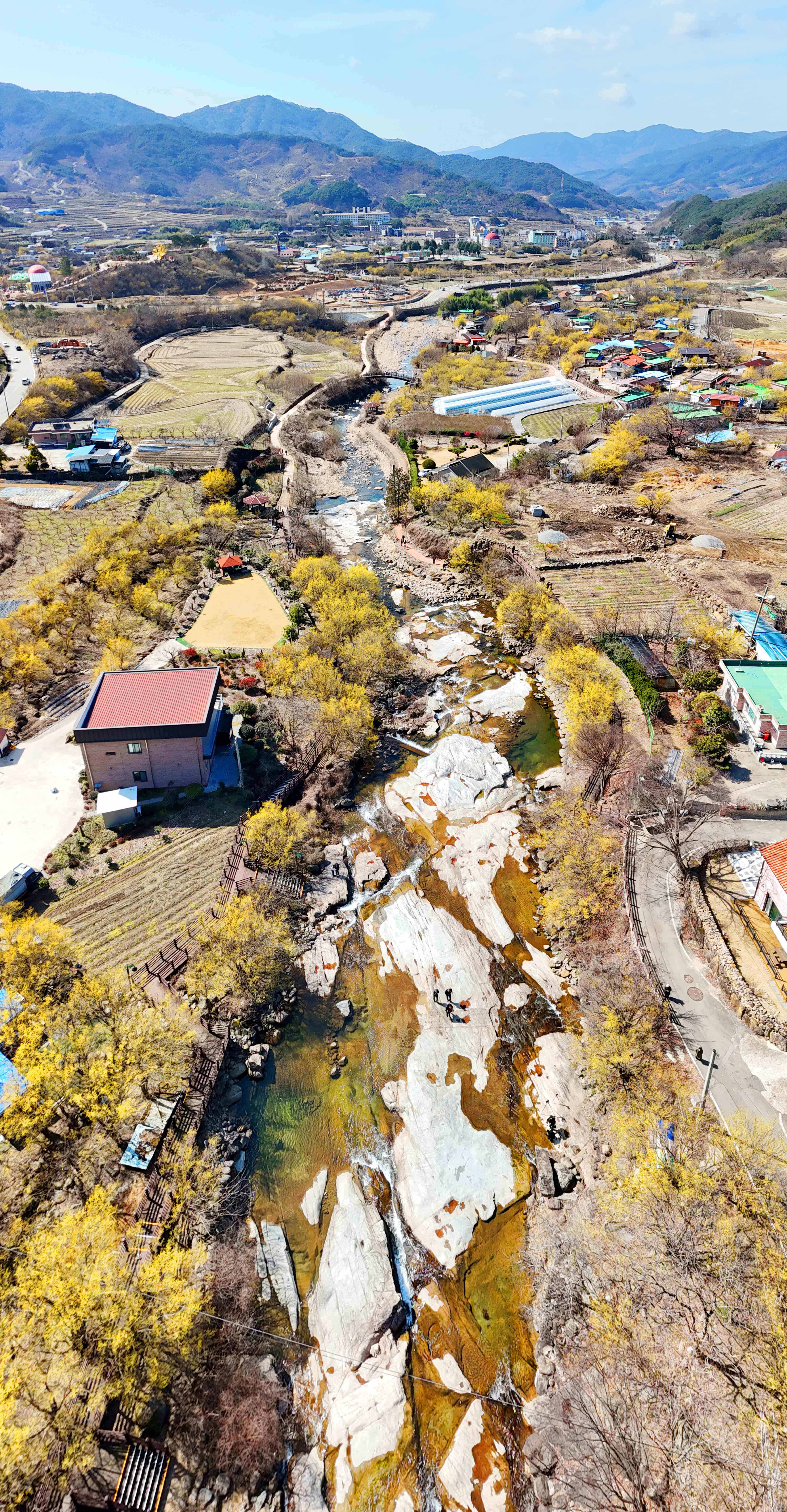 구례 산수유축제